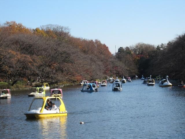 公園　井の頭公園（公園）まで1200m