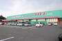 ドラックストア　ディスカウントドラッグコスモス 新貝店（ドラッグストア）まで520m