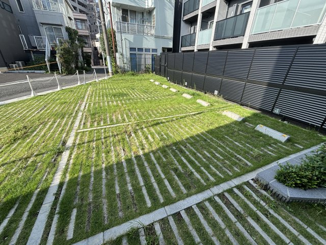 庭　お庭です
