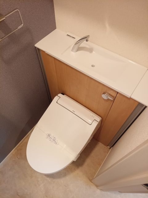 ＪＲ桜島線 安治川口駅 徒歩13分 2階建 築3年のトイレ写真