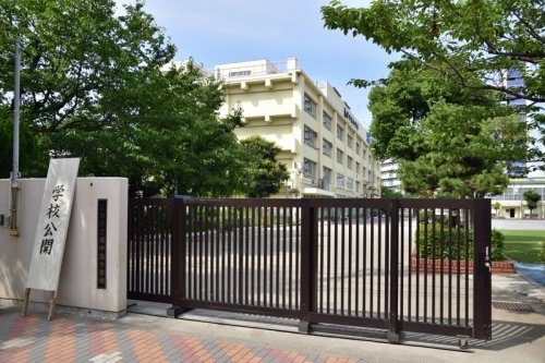 小学校　江東区立越中島小学校（小学校）まで519m