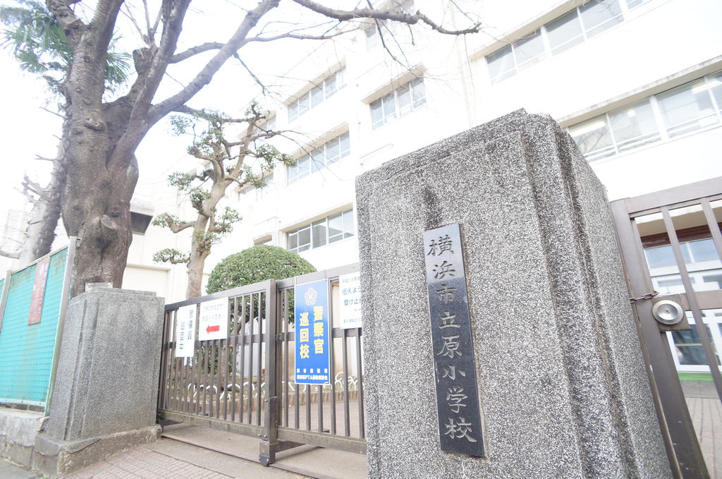 小学校　横浜市立原小学校（小学校）まで543m