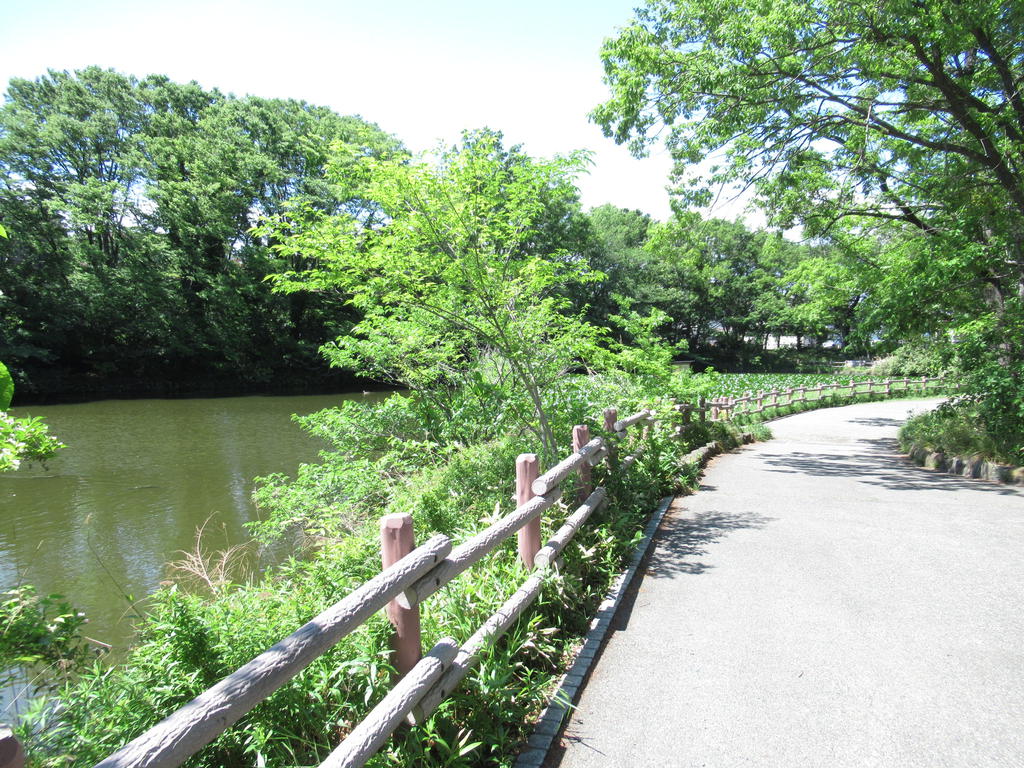 公園　菊名池公園（公園）まで835m