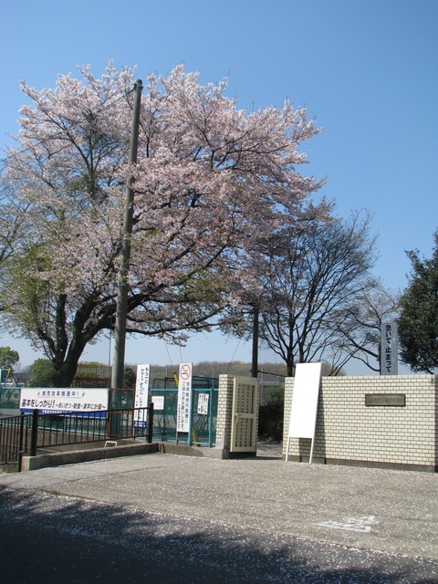 【塩谷郡高根沢町大字宝積寺のアパートの小学校】