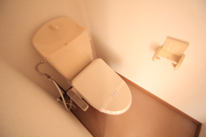 プラティ-ヌK.Dのトイレ写真