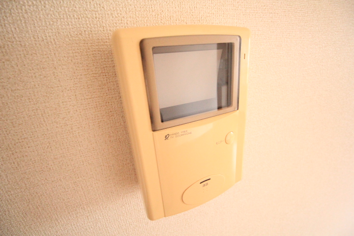 プラティ-ヌK.Dのその他写真