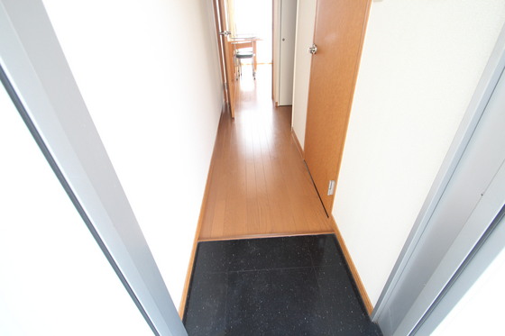 玄関　※別号室の写真です