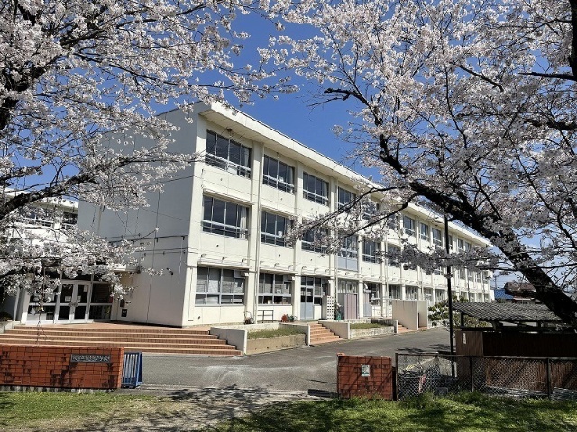 【Ｂｌｕｅ　Ｗｏｏｄの小学校】