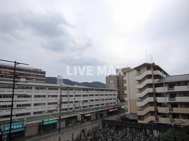 眺望　※別部屋のお写真になります