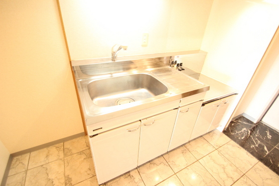 キッチン　※別号室の写真です