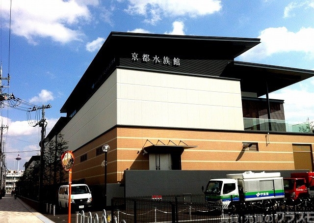 その他　京都水族館（その他）まで1000m