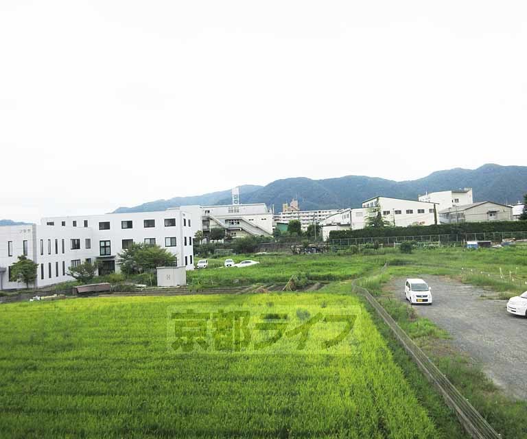 眺望　のどかです