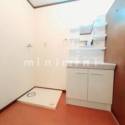 洗面設備　※写真は別号室のものですので現状優先とさせていただきます