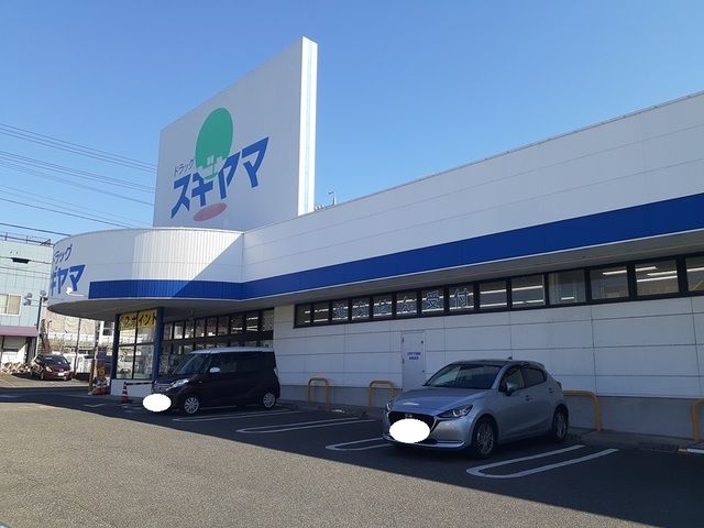 ドラックストア　ドラッグスギヤマ加木屋店（ドラッグストア）まで1700m