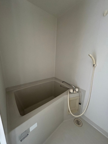 バス・シャワールーム　※別部屋の写真です