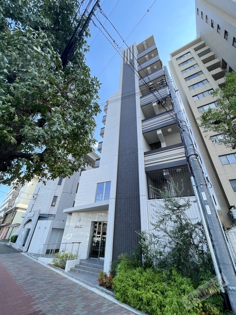 エントランス　インターネット使い放題です。