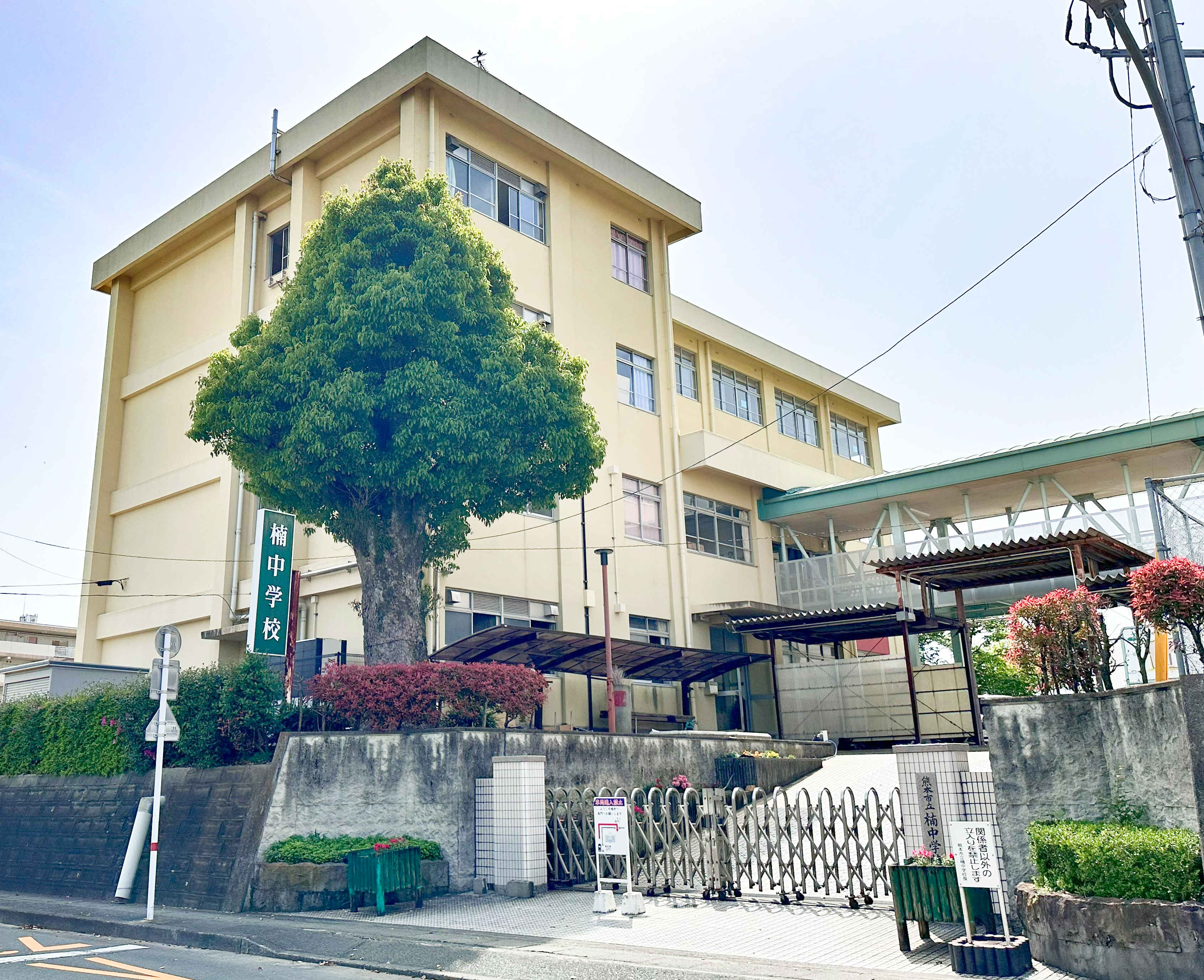 中学校　熊本市立楠中学校（中学校）まで742m