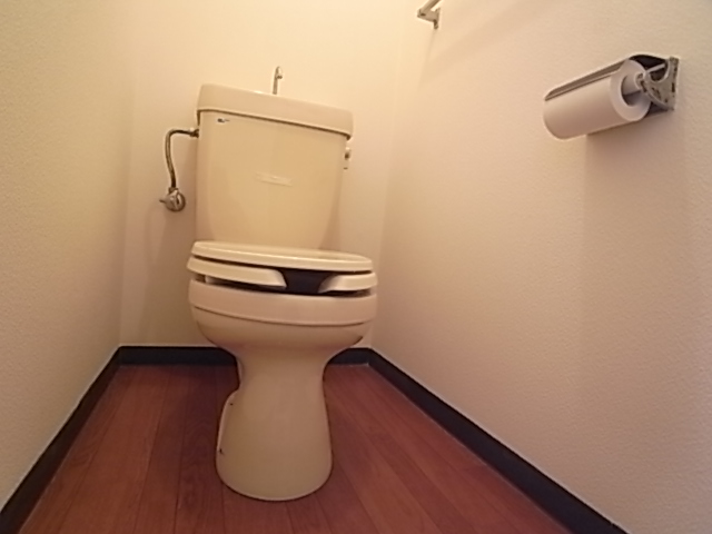 トイレ　トイレ部分。