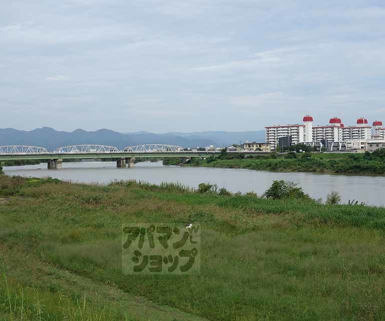 その他　桂川（その他）まで600m