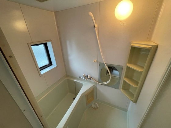 バス・シャワールーム　※別部屋の写真です