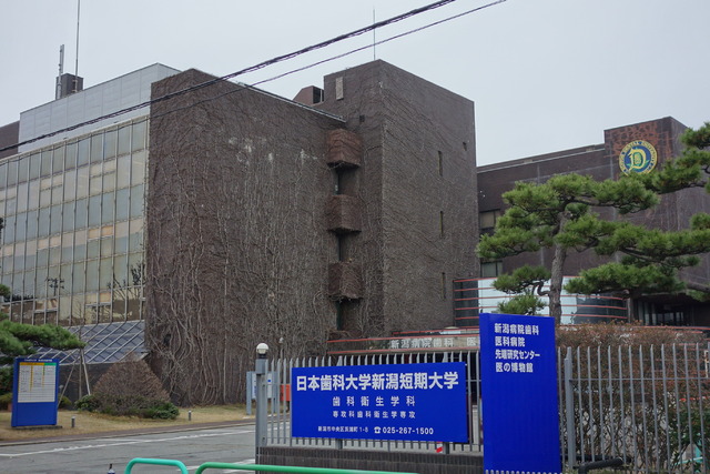 大学・短大　日本歯科大学新潟生命歯学部（大学・短大）まで1262m