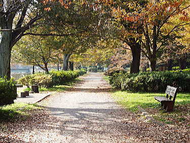 公園　善福寺川緑地（公園）まで827m