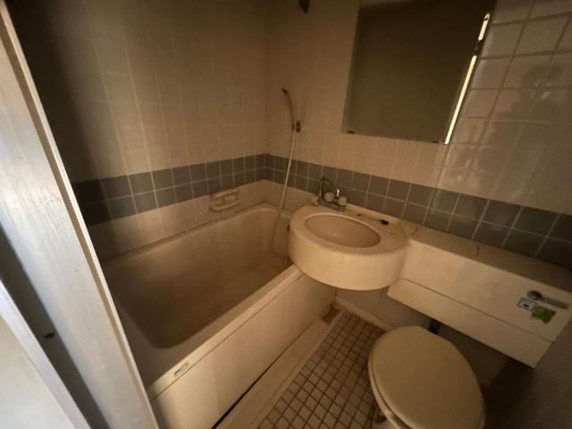 バス・シャワールーム　※別号室のお写真です