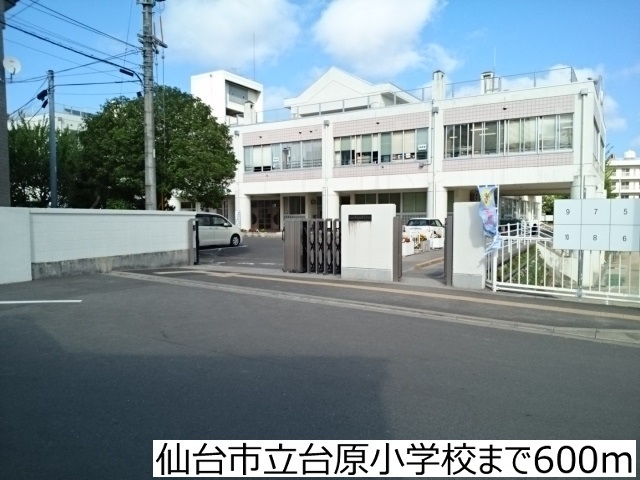 小学校　仙台市立台原小学校（小学校）まで600m