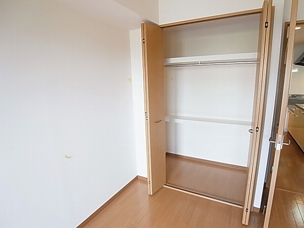 収納　同物件・別部屋写真