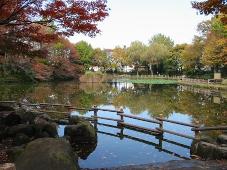 公園　菊名池公園（公園）まで308m