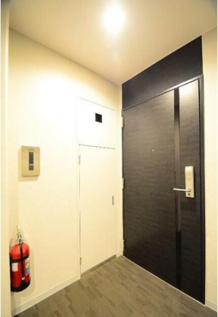 玄関　カラー・タイプ異なります。