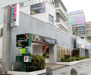 スーパー　Odakyu OX(オダキュー オーエックス) 江ノ島店（スーパー）まで1094m