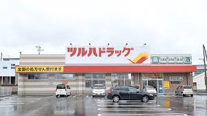 ドラックストア　調剤薬局ツルハドラッグ 新潟関屋店（ドラッグストア）まで786m