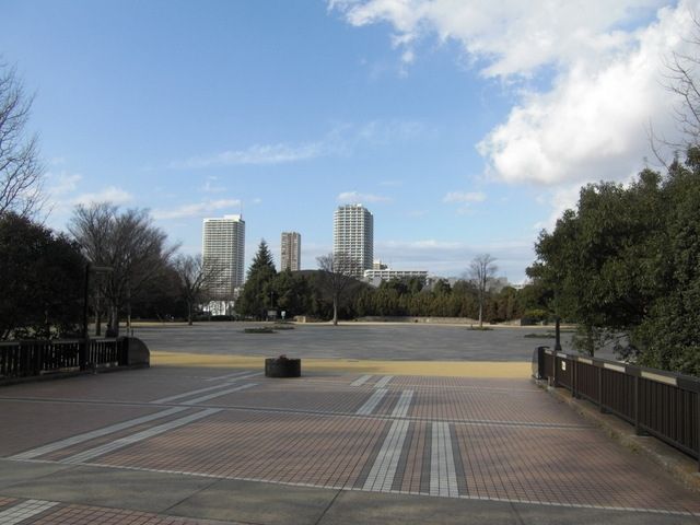 公園　木場公園（公園）まで50m