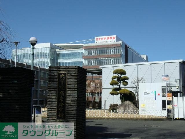 その他　日大商学部（その他）まで700m