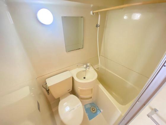 バス・シャワールーム　※別部屋の写真です