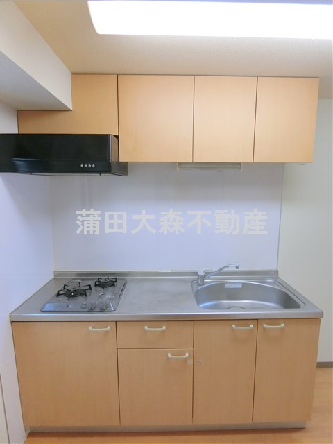 キッチン　2口ガスシステムキッチン