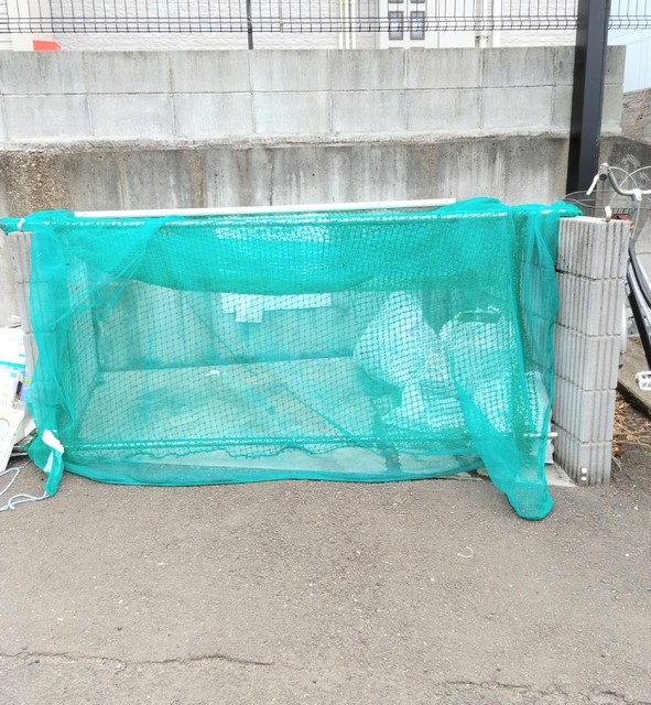 その他共有部分　★自転車置き場の横にごみ置き場がございます★
