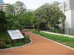 公園　高松くすのき公園（公園）まで643m