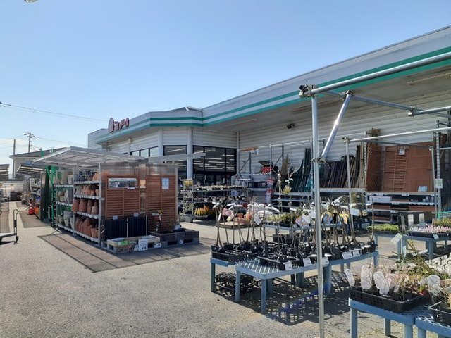 ホームセンター　コメリハード＆グリーン藤井店（ホームセンター）まで100m