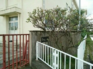 その他　一宮市立　黒田小学校まで400m