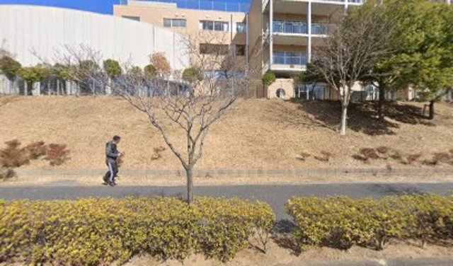 小学校　川崎市立はるひ野小学校（小学校）まで466m