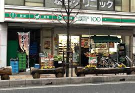 コンビニ　ローソンストア100草加栄町三丁目店（コンビニ）まで253m