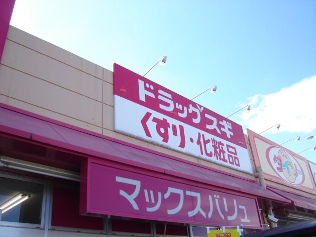 その他　スギ薬局扶桑店まで924ｍ