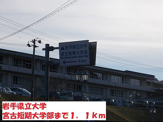 大学・短大　岩手県立大学宮古短期大学部（大学・短大）まで1100m