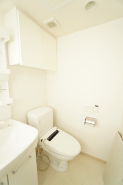 トイレ　他のお部屋の参考画像です。