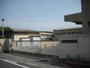 小学校　堺市立浜寺昭和小学校（小学校）まで816m