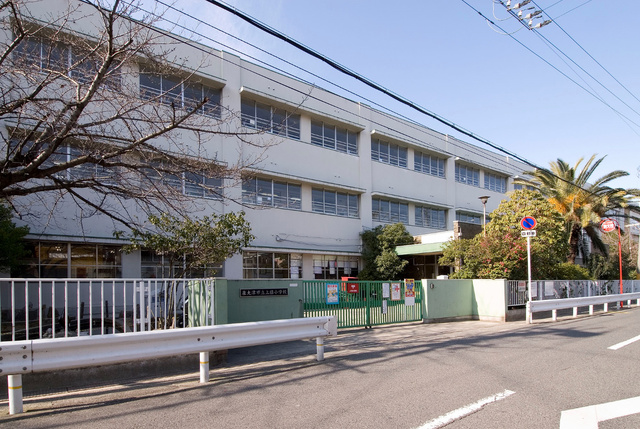 小学校　泉大津市立上條小学校（小学校）まで717m