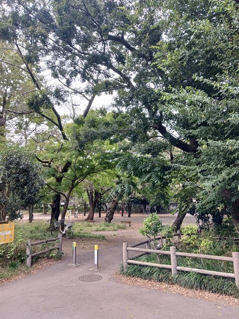 その他　善福寺公園（その他）まで479m