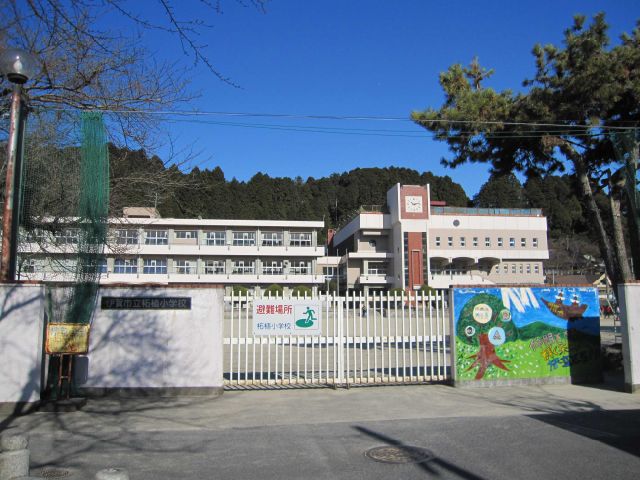 小学校　市立柘植小学校（小学校）まで920m